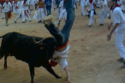cover image for Dataset: Pamplona's bull run